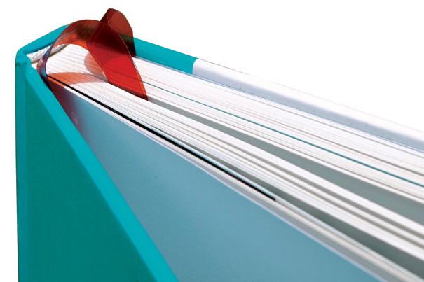 Bookmark-pagechaser
